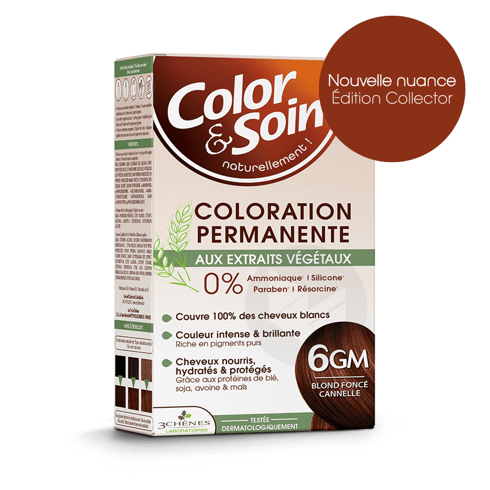 6GM - CINNAMON DARK BLONDE COLORING