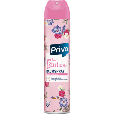 BF DESODORISSANT FRESHO 300ML