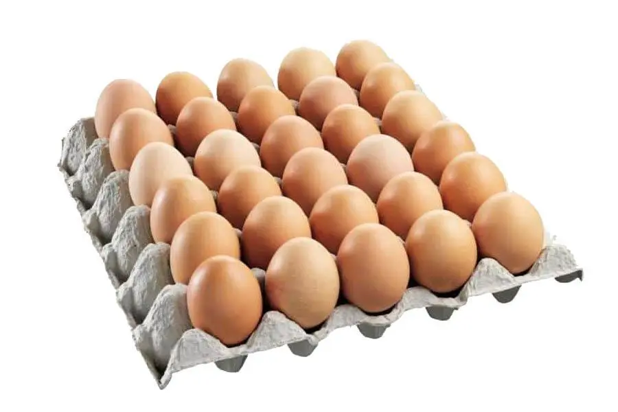 البيض العضوي المحلي الطازجX15