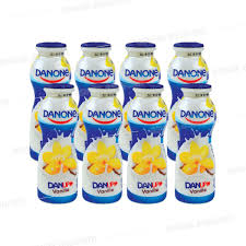 DANUP VANILLE 170g