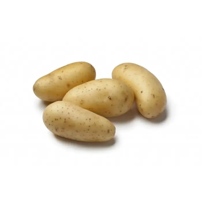 بطاطس 