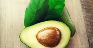 AVOCAT 