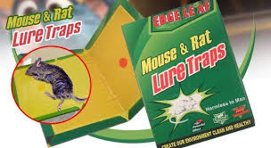 MOUSSE ET RAT LURE TRAPS