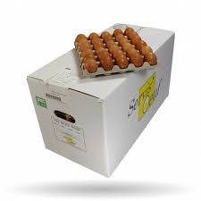 OEUFS 360PCS