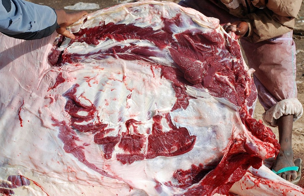 VIANDE DE CHAMEAUX