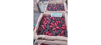 DATTES DE LA MAUTRITANIE ADRAR 1KG