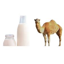 LAIT DE CHAMELLE 0.5L