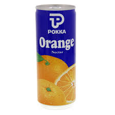 ORANGE NECTAT 240ML