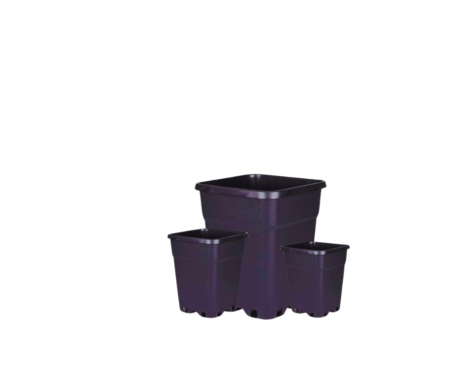 Pot en plastique Bharkari 175g