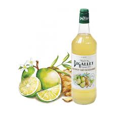 SIROP POUTOULOU MENTHE CITRON ET GINGEMBRE 0.5L