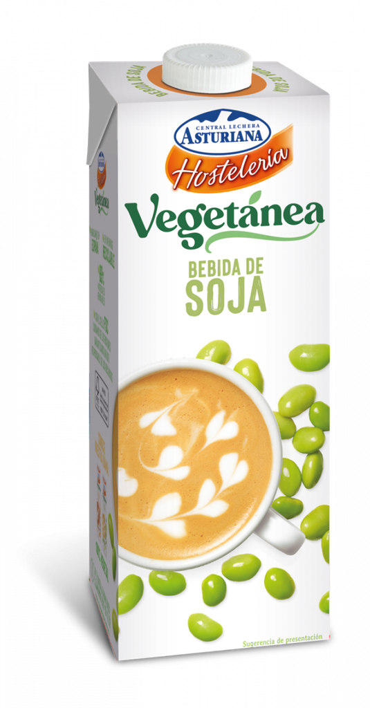 ASTURIANA HOSTELERIA VEGETANEA 1L