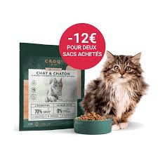 CROQ.CHAT VIAND.1KG35 BRE