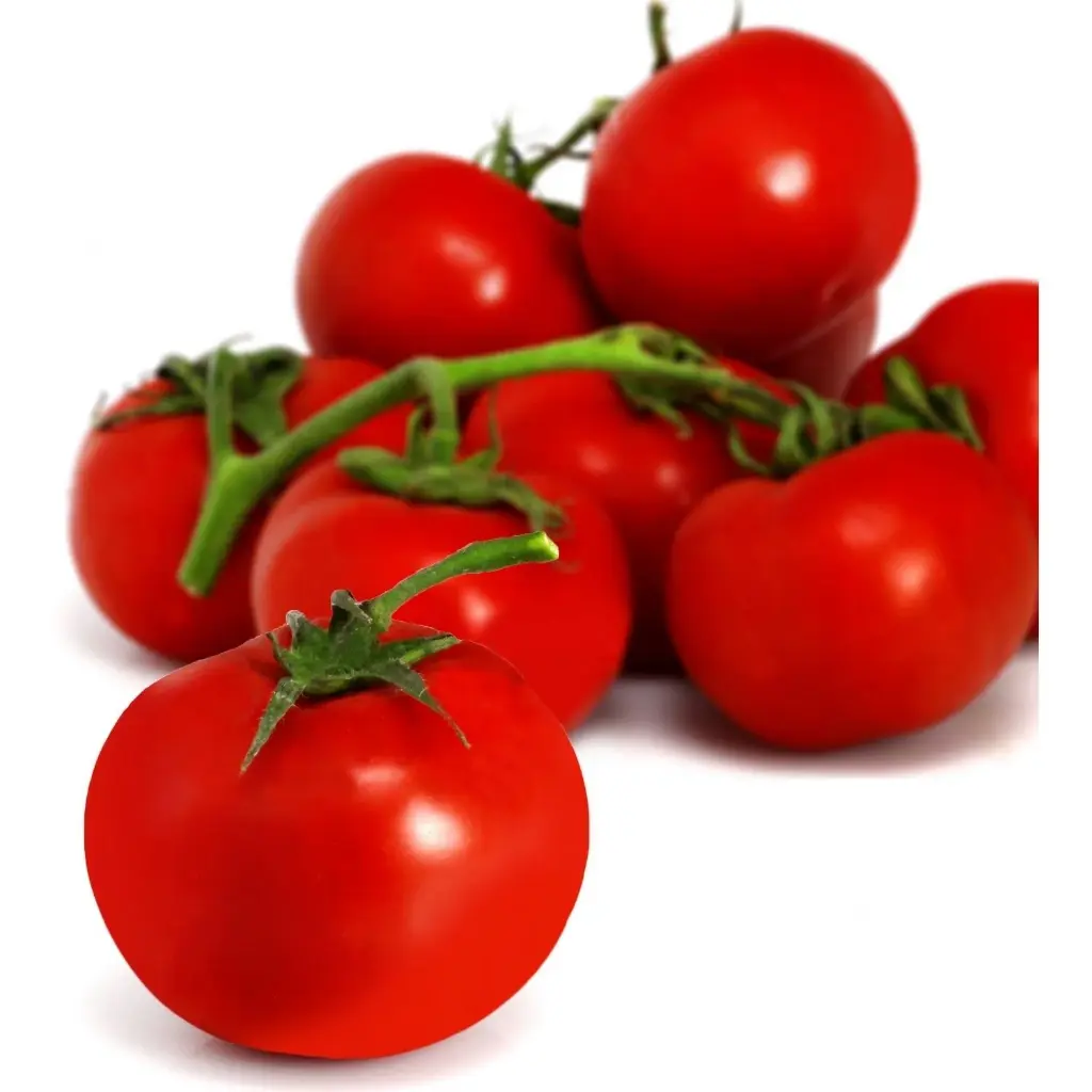 TOMATES