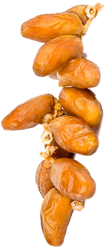 تمر