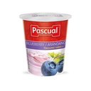 YAOUR PASCUAL BLUEBERRY 125 G