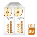 EVERYDAY APPLE JUICE CARTON 10X20CL