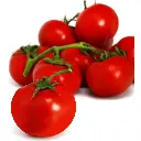 TOMATES