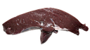 FOIE DE CHAMEAU