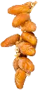 تمر
