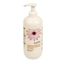 EVERYDAY savon mains liquide 500ml