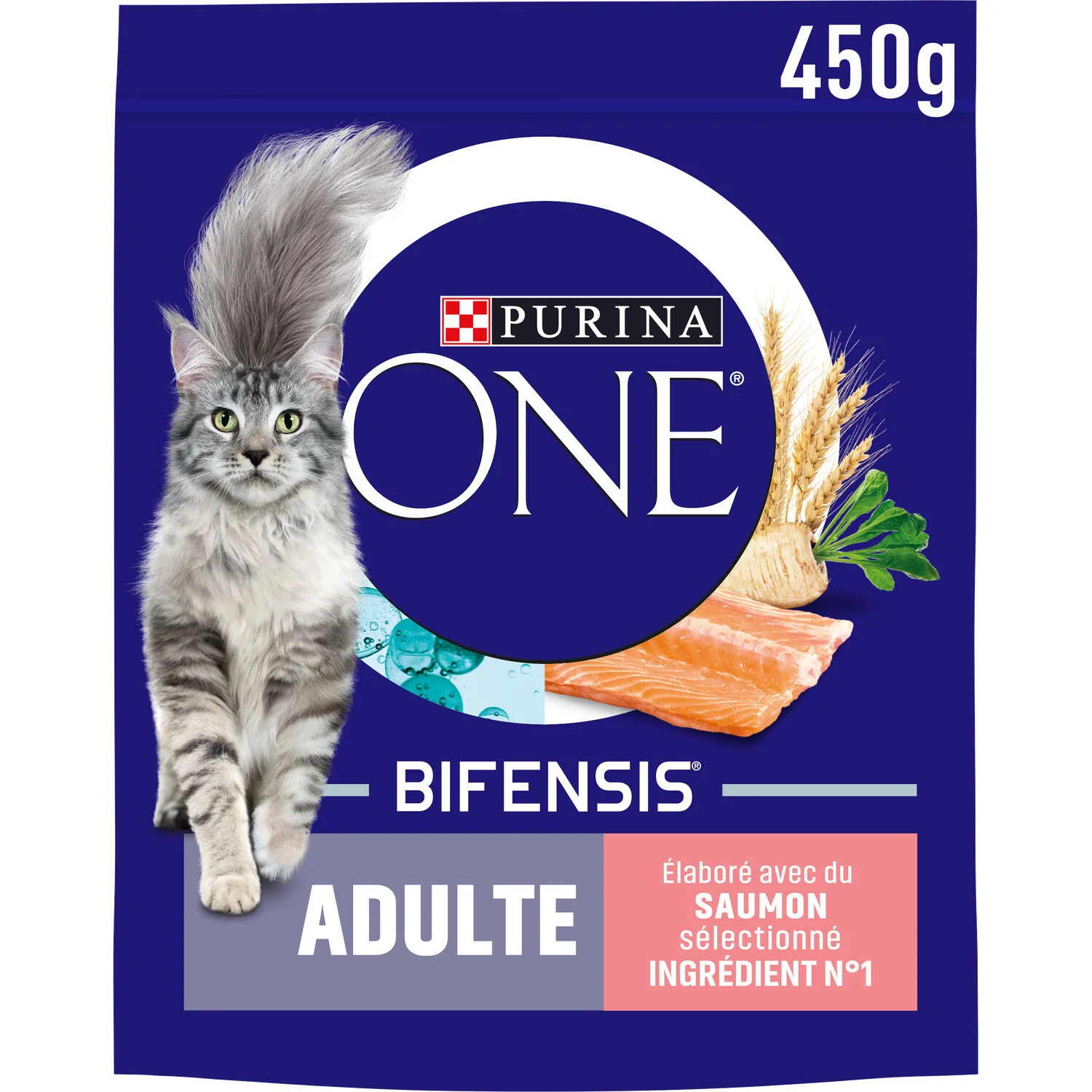 ONE ADULTE SAUMON 450g