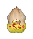 الدجاج التركي 