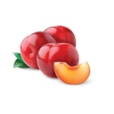 PRUNE ROUGE