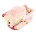 دجاج طازج محلي